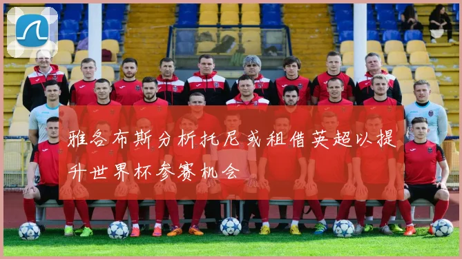 雅各布斯分析托尼或租借英超以提升世界杯参赛机会