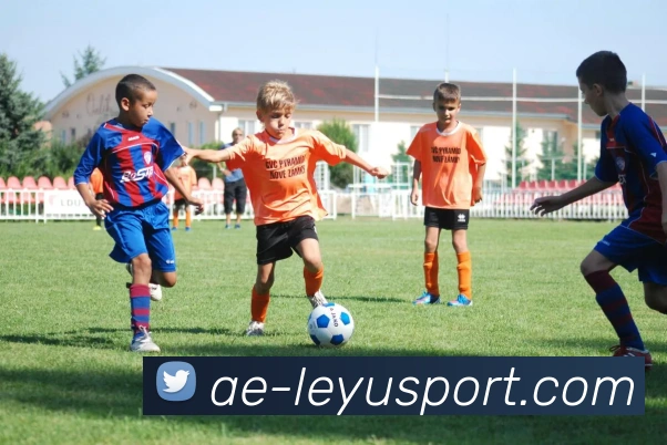 乐鱼体育服务体系