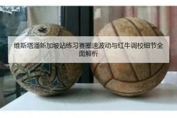 维斯塔潘新加坡站练习赛圈速波动与红牛调校细节全面解析 - leyu.com